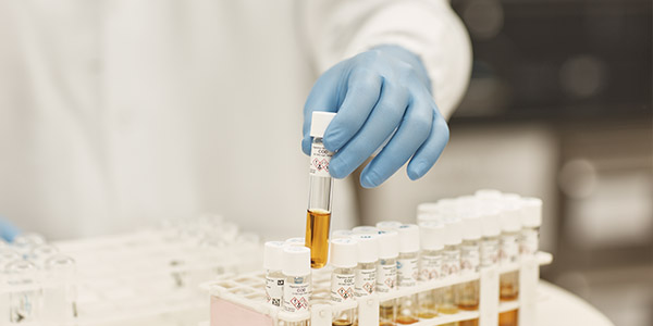 Laboratory